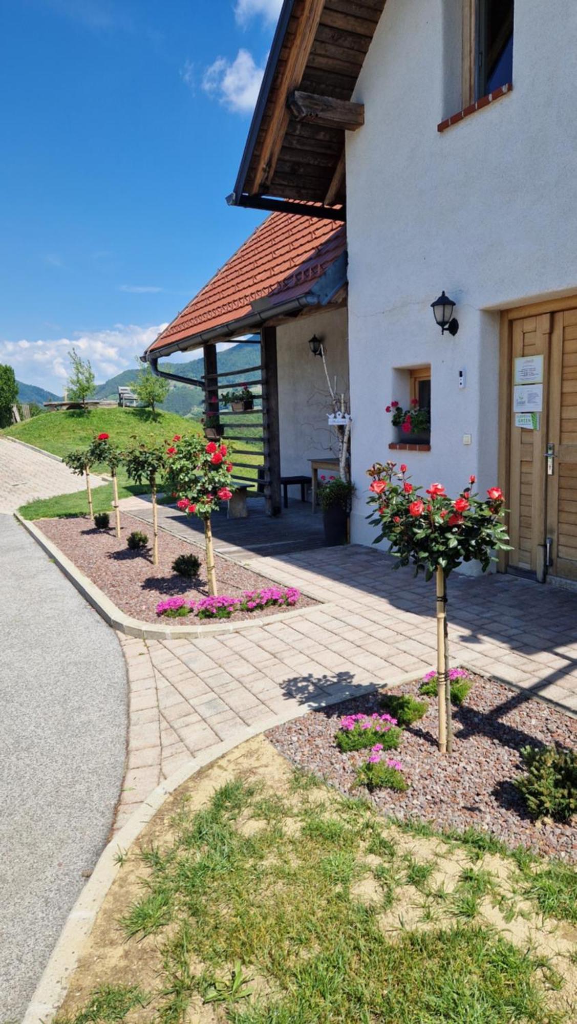 Relax Guest House Marjanca Rogaška Slatina Zewnętrze zdjęcie